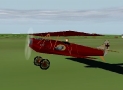 Lone Wulffe Fokker DVII