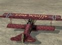 Jupes\' Fokker DVII F